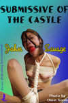 Submissive of The Castle by John Savage